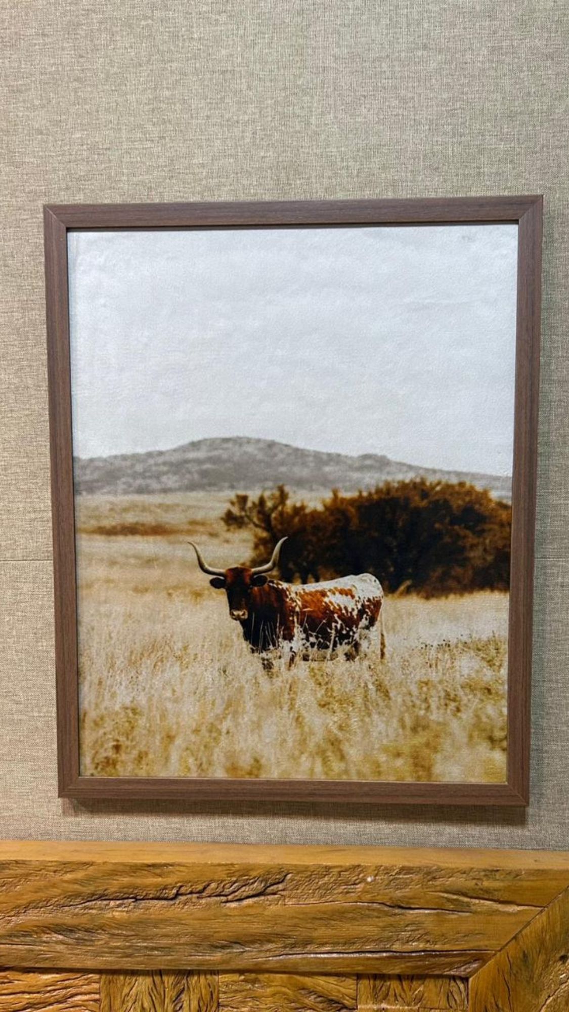 Quadro Decor Long Horn