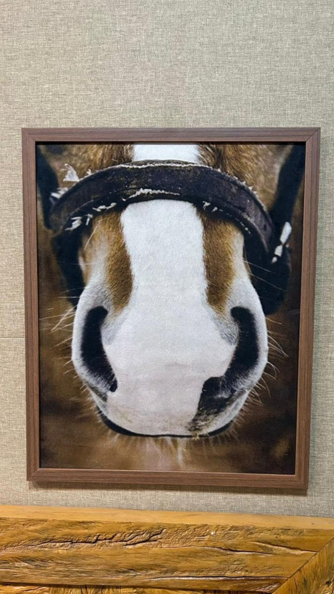 Quadro Decor Cabresto