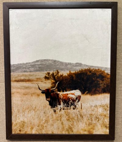 Quadro Decor Long Horn