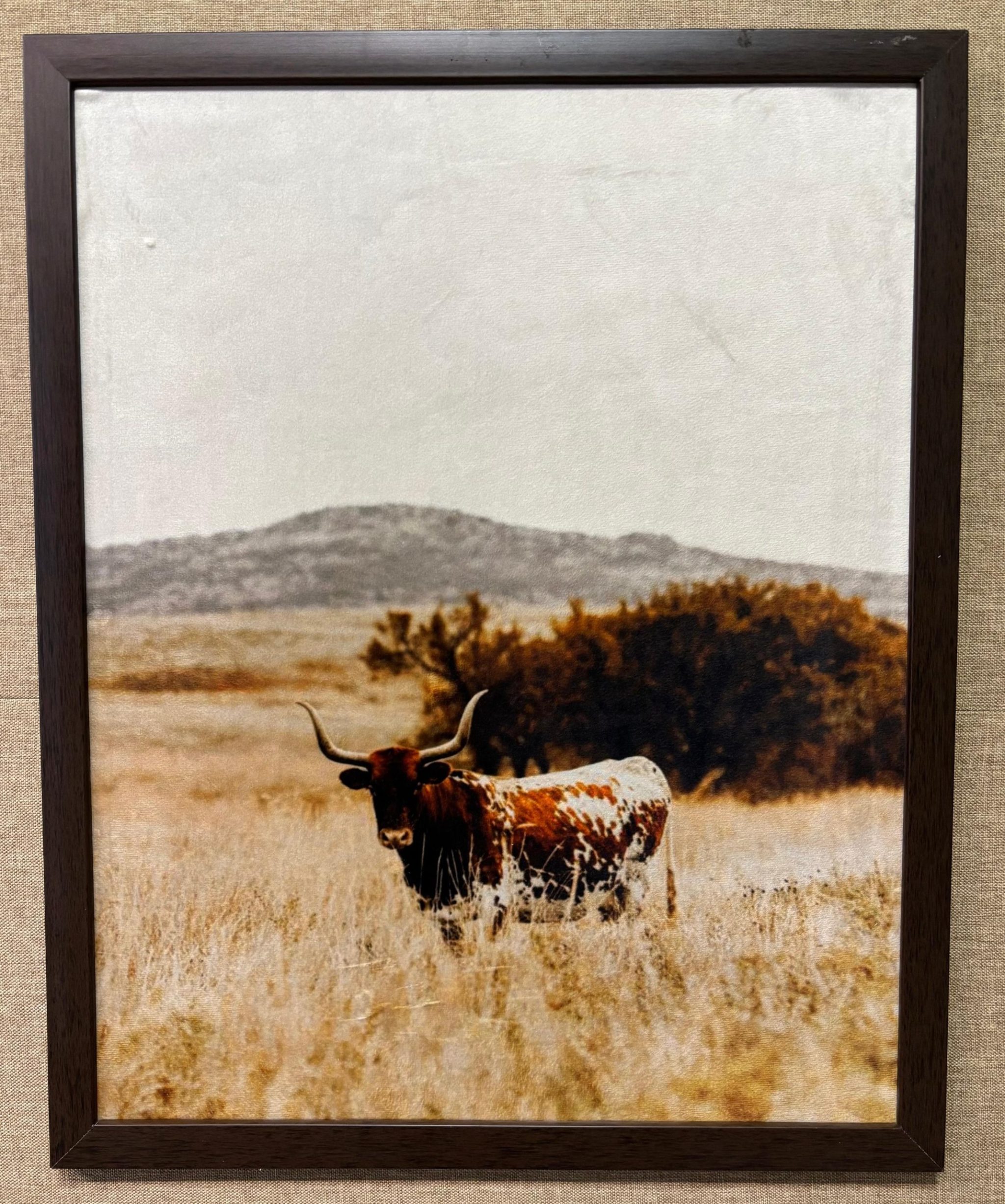 Quadro Decor Long Horn