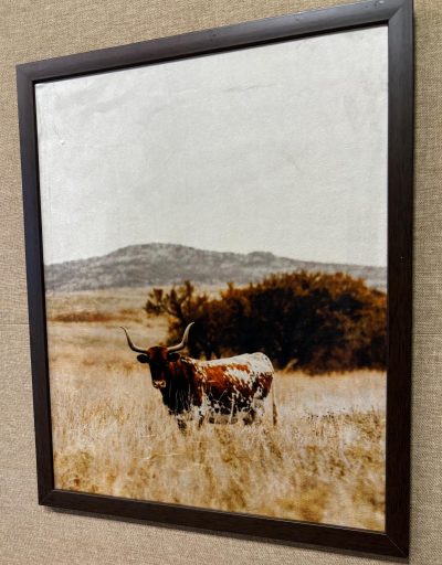 Quadro Decor Long Horn - Imagem 2