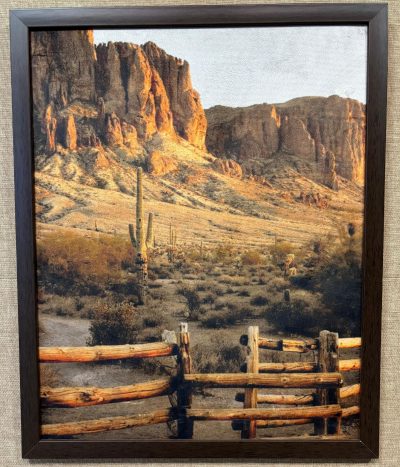 Quadro Decor Cacto