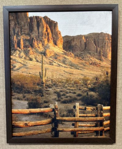 Quadro Decor Cacto